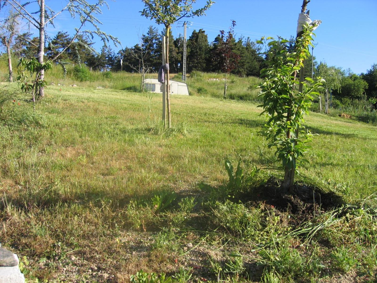 Lozere Aubrac Margeride Promo Daire Saint-Alban-sur-Limagnole Dış mekan fotoğraf
